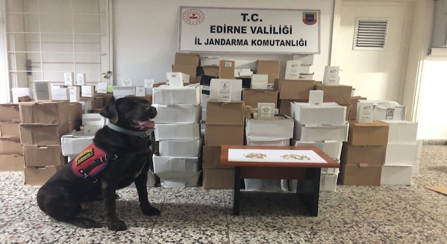 Edirne’de otobüsün bagajında 7 bin 391 kaçak parfüm ele geçirildi