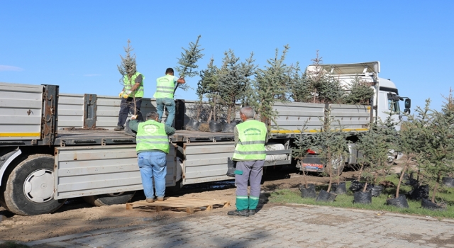 Edirne’den Hatay’a bir tır dolusu fidan gönderildi