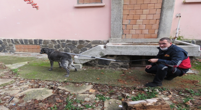 Binada mahsur kalan köpeğin yardımına itfaiye ekipleri yetişti