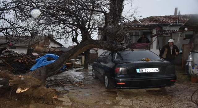 Tekirdağ’da şiddetli rüzgar nedeniyle elektrik direği ve ağaçlar devrildi