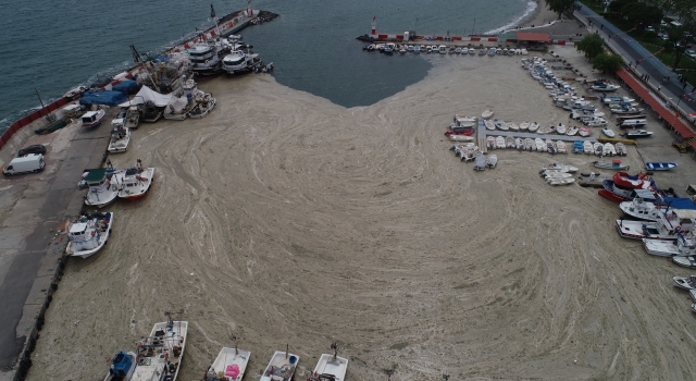 Tekirdağ’da lodos nedeniyle balıkçı barınağı kıyısı deniz salyasıyla kaplandı