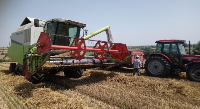 Türkiye’nin önemli hububat merkezlerinden Edirne’de buğday hasadı sona erdi