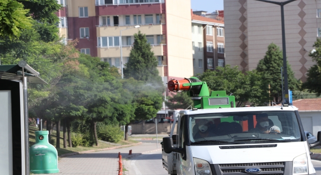 Edirne’deki popülasyonu artan dantel böceğiyle mücadele 