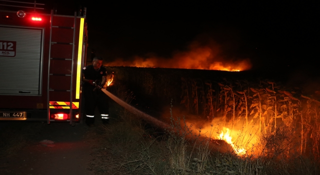 Edirne’de anız yangının sıçradığı ayçiçeği tarlaları zarar gördü