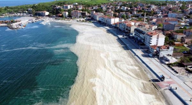 Prof. Dr. Tecer: Marmara’da durağan deniz koşulları devam ettikçe müsilaj tehlikesi var