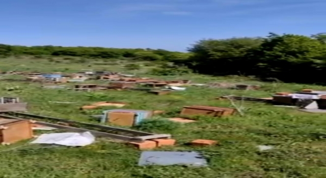 Tekirdağ’da o kovanlara zarar verildi; 4 milyon arı öldü, ana arılar çalındı