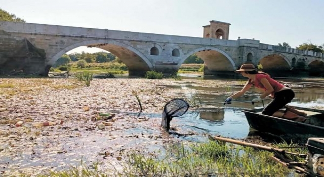 İspanyol akademisyen Begona, 6 yıldır plastik atıklarla mücadele ediyor