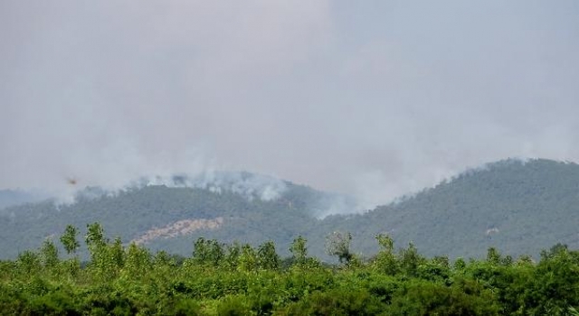 Yunanistan’daki orman yangını, Türkiye’den endişe ile izleniyor