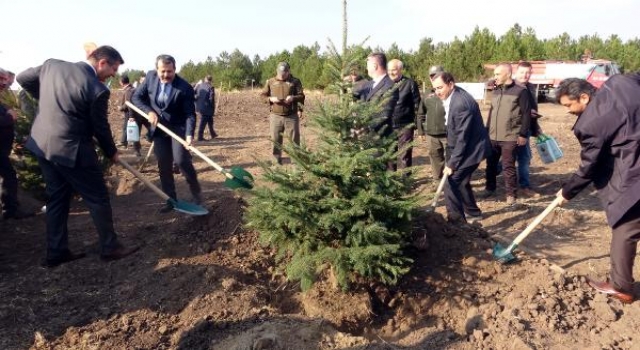 İŞTE GURUR TABLOSU!