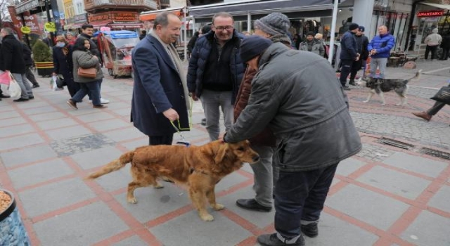 KÖPEĞİYLE ESNAF ESNAF GEZDİ!