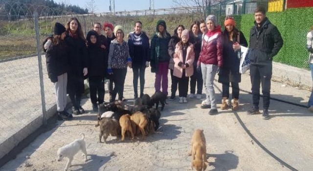 KE-HAYKO, kapılarını depremzede hayvanlara da açacak