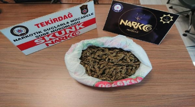 Tekirdağ’da bir kişinin üstünde 500 gram skunk yakalandı