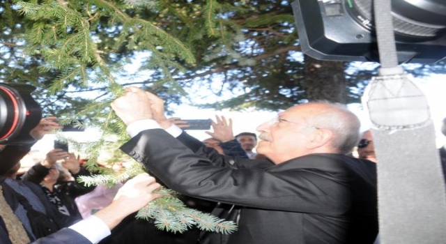 Kılıçdaroğlu, marteniçkayı Bulgaristan’da öldürülen Türkan bebeğin anıtının ağacına astı