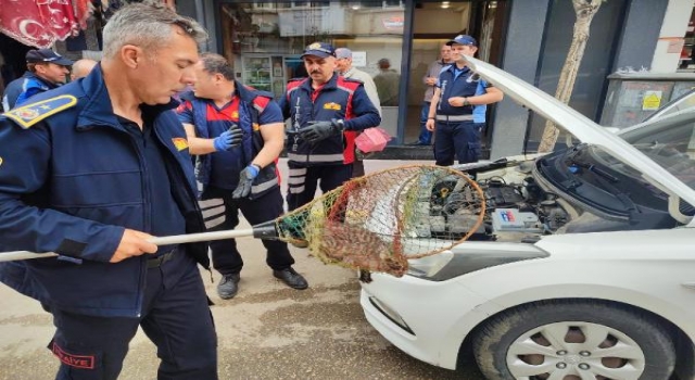 Otomobilin motoruna giren yavru kediyi, itfaiye kurtardı