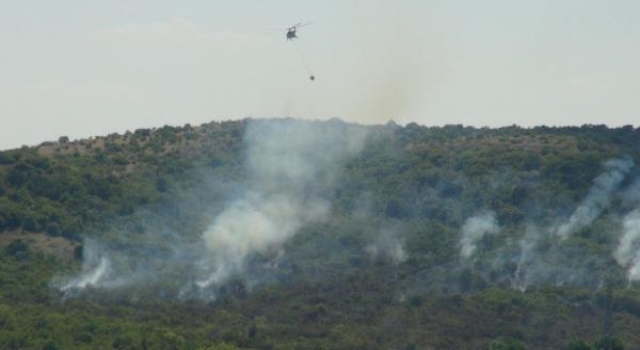 Türkiye- Bulgaristan sınırındaki ormanda yangın