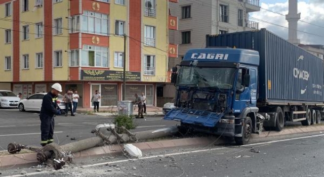 Kontrolden çıkan TIR elektrik direğini devirdi