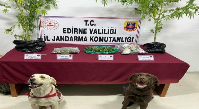 Edirne’de arama yapılan evde 743 gram esrar ele geçirildi