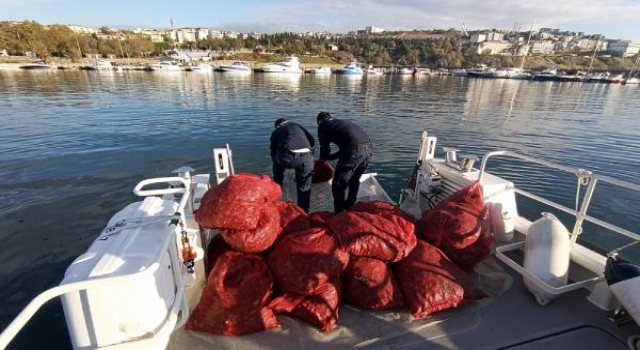 Tekirdağ’da 1500 kilo kaçak avlanan midye ele geçirildi