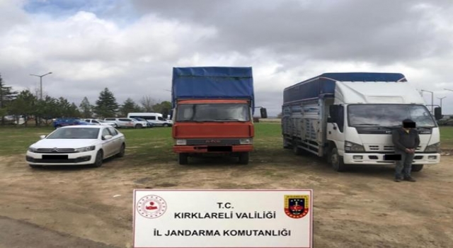 Kırklareli’de 76 düzensiz göçmen yakalandı