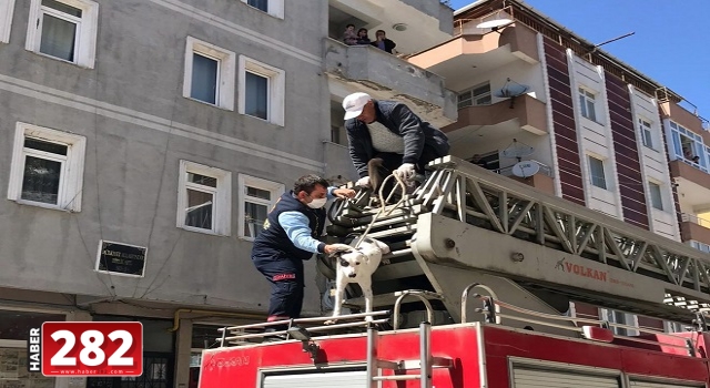 Çerkezköy'de balkonda unutulan köpeği itfaiye kurtardı