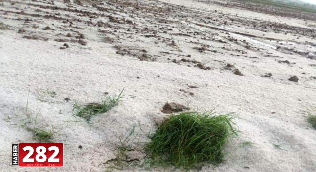 Hayrabolu'da sağanak ve dolu, tarım alanlarına zarar verdi