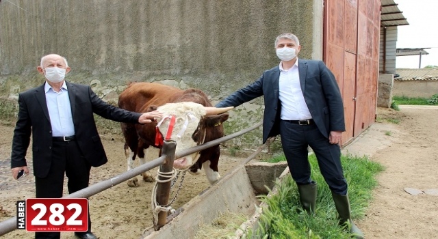 Edirneli 81 yaşındaki çiftçi "Biz Bize Yeteriz Türkiyem" kampanyasına dana bağışladı