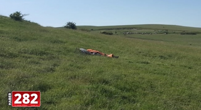 Tekirdağ'da arıların saldırdığı kişi öldü