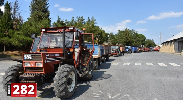 Hayrabolu'da TMO, buğday alımına başladı