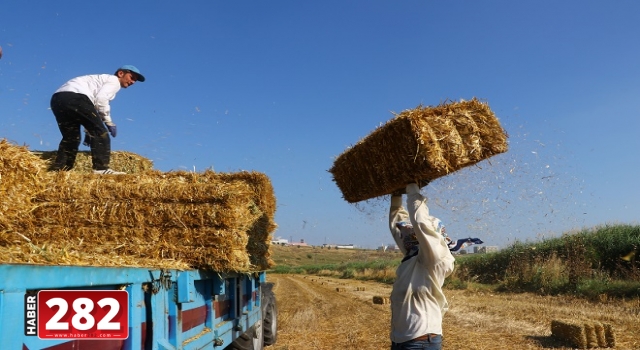 Mevsimlik saman balyası işçilerinin kavurucu sıcaklardaki ekmek mücadelesi