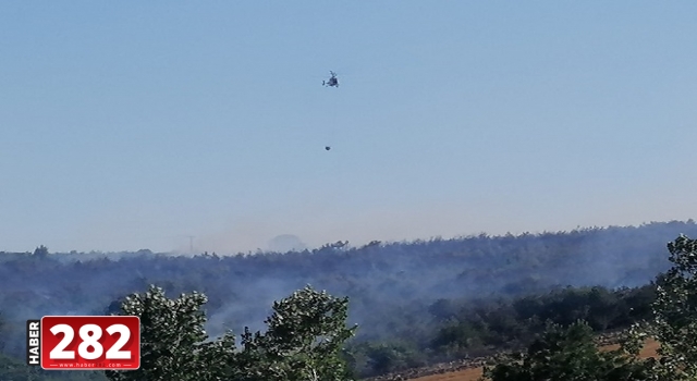 Tekirdağ'da orman yangını başladı