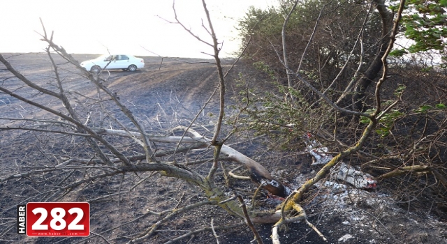 Tekirdağ'da yangın sonucu 200 dönüm ekili alan zarar gördü