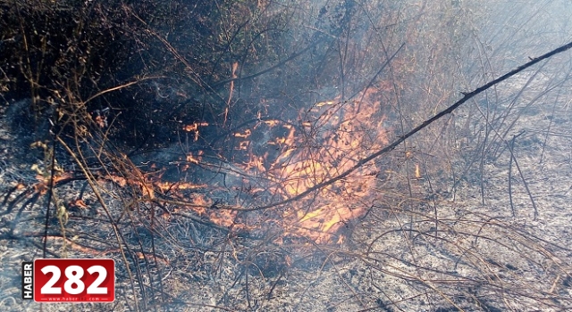 Malkara'da ormanlık alanda çıkan yangın söndürüldü