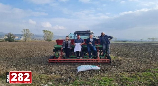 Vize’de yerli buğday ve arpa çeşitleri üreticiye tanıtmak için ekildi