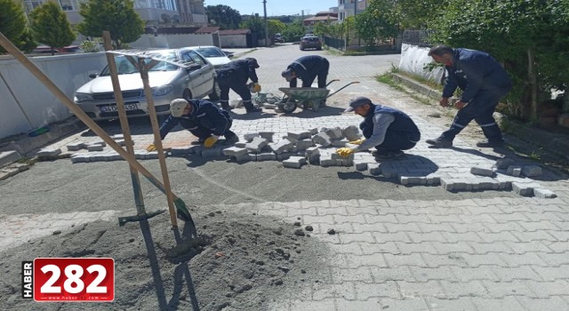 Güzel bir Ergene için çalışmaya devam