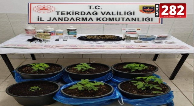 Tekirdağ'da uyuşturucu operasyonu: 4 gözaltı