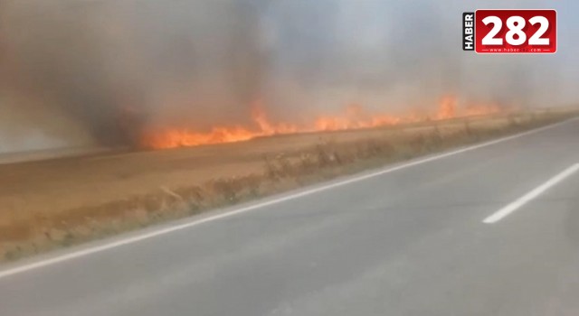 Tekirdağ'da 180 dönüm ekili buğday yandı; 3 kişi dumandan etkilendi