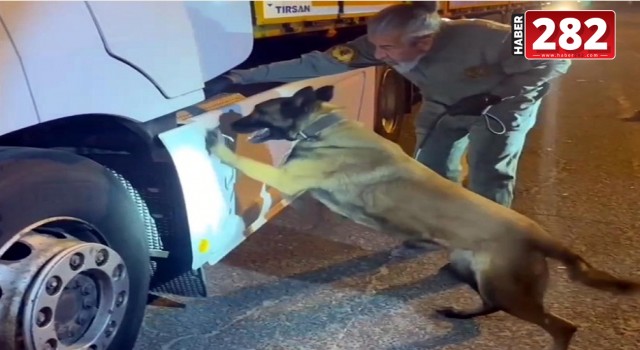 TIR'daki 5,5 kilo uyuşturucuyu 'Viva' buldu