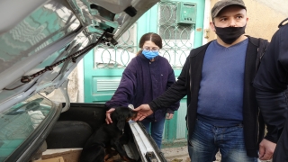 Otomobil bagajına bırakılan köpek yavrusu vatandaşları harekete geçirdi
