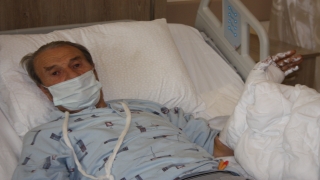 Edirne’de ormanda domuzun saldırdığı yaşlı adam yaralandı