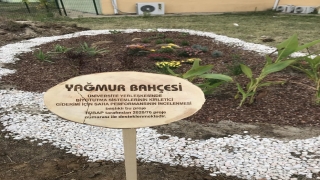 Trakya Üniversitesi’nde yağmur bahçeleri kuruldu