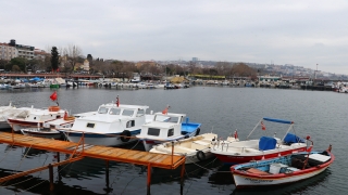 Tekirdağlı balıkçılar Marmara’ya açılmak için deniz salyasının bitmesini bekliyor