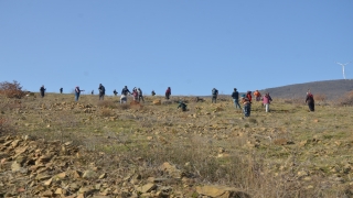 Tekirdağ’daki Ganos Dağı etekleri köylülerin diktiği fıstık çamı fidanlarıyla güzelleşecek