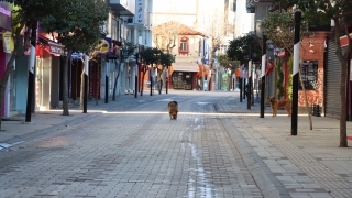 Trakya’da Kovid19 tedbirleri kapsamındaki sokağa çıkma kısıtlamasına uyuluyor