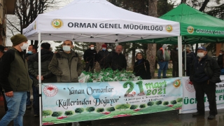 Demirköy’de Orman Haftası dolayısıyla vatadaşlara fidan dağıtıldı