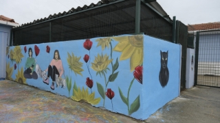 Edirne’de lise öğrencileri kedi evlerini boyadı