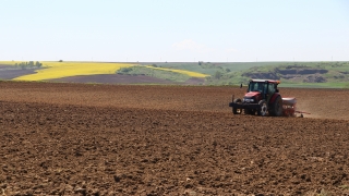 Tekirdağ’da çiftçiler tam kapanma sürecinde ayçiçeği tohumlarını toprakla buluşturuyor
