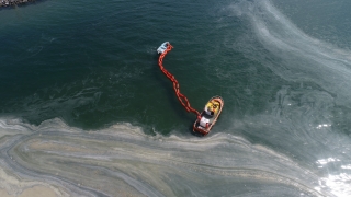 Tekirdağ’da rüzgarla yeniden kıyıda biriken müsilajı temizleme çalışmaları devam ediyor