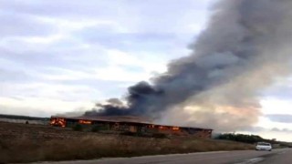 Kırklareli’de hayvan çiftliğinin saman ve ot deposunda yangın çıktı