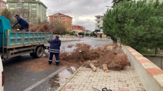 Süleymanpaşa Belediyesi, fırtınanın yaralarını sarıyor