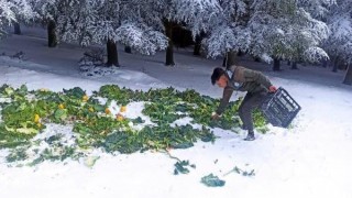 Tekirdağ’da yaban hayvanlarına 750 kilo yem bırakıldı